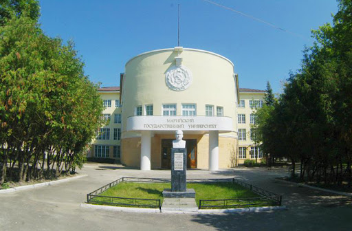 Отчетно-выборное собрание Марийского регионального отделения АЕВИС